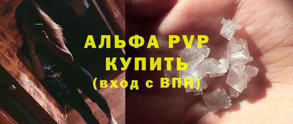 индика Верхний Тагил