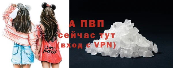 индика Верхний Тагил