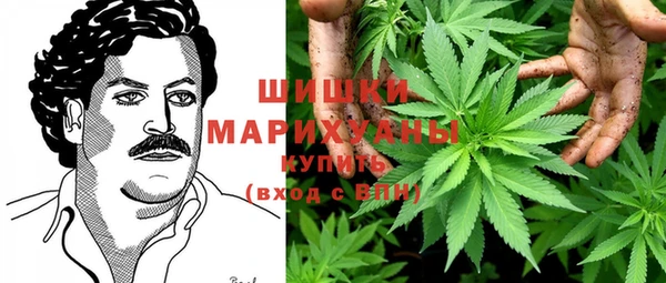 индика Верхний Тагил