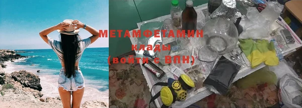 индика Верхний Тагил