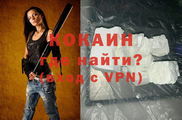 индика Верхний Тагил