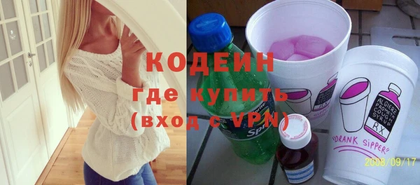 индика Верхний Тагил